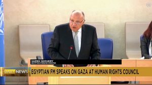 Egypt's foreign minister calls out 'world's double standards' over Israel offensive in Gaza