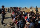 Death toll from Algeria wildfires rises to 12, dozens injured