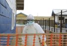 Ebola: Sharp jump in cases in North Kivu while outbreak slows in Ituri