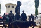 At least 37 illegal mining suspects found dead in Nigerian custody