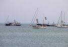 Tunisia: At least 11 detained following protest for release of activists