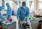 Kenya confirms first Ebola death as 28 contacts traced