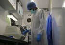 At least 10 students die as Ebola outbreak spreads in DR Congo