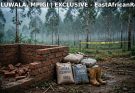 Inside Luwala: How Residents Found Robert Kabera’s Headless Body – Police Took 6 Hours to Arrive, Head Still Missing